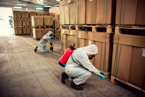 Best Mosquito Control Services  in Drexel, OH