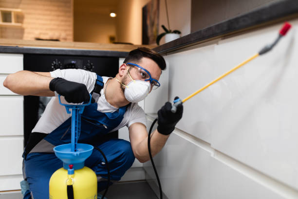 Best Best Pest Control Companies  in Drexel, OH