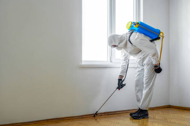 Best Pest Control Near Me in Drexel, OH