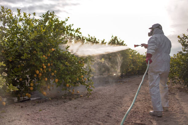 Pest Control Cost in Drexel, OH