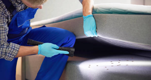 Best Exterminator Services  in Drexel, OH