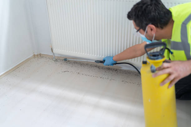 Best Bed Bug Extermination  in Drexel, OH